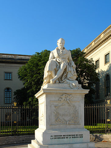 Humboldt Universität - Berlin (Berlin)