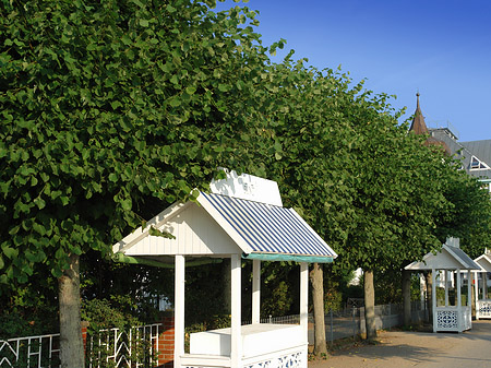 Straßenstände - Mecklenburg-Vorpommern (Ostseebad Binz)