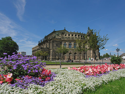 Semperoper mit Blumen - Sachsen (Dresden)