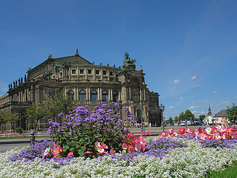 Semperoper mit Blumen - Sachsen (Dresden)