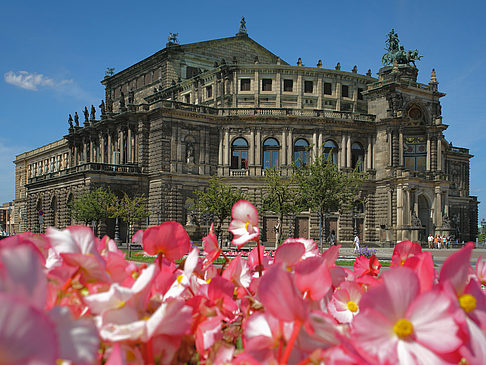 Semperoper mit Blumen - Sachsen (Dresden)