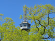 Foto Aussichtsturm zwischen Bäumen - Prag