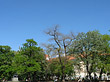 Foto Karlsplatz - Prag