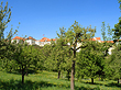 Foto Landschaft um den Berg - Prag