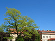 Foto St. Laurentius - Prag