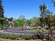 Observatorium mit Blumen Foto 