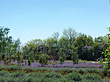 Foto Park auf dem Berg