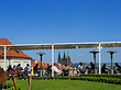 Wiese auf dem Berg