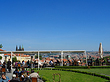 Wiese auf dem Berg Foto 