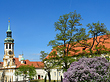 Fotos Baum vor dem Loreto | Prag