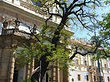 St. Ignatiuskirche Foto 
