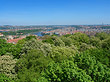 Blick über Prag Foto 