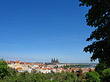 Bäume auf der Kleinseite
