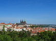 Foto Bäume auf der Kleinseite - Prag