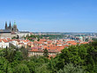 Foto Bäume auf der Kleinseite