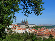 Fotos Bäume auf der Kleinseite