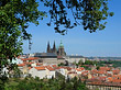 Fotos Bäume auf der Kleinseite | Prag