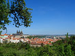 Bäume auf der Kleinseite Fotos