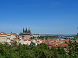 Bäume auf der Kleinseite Fotos