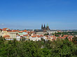Foto Bäume auf der Kleinseite