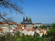 Foto Bäume auf der Kleinseite