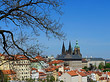Fotos Bäume auf der Kleinseite