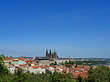 Bäume auf der Kleinseite Fotos