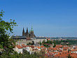 Foto Bäume auf der Kleinseite