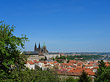 Foto Bäume auf der Kleinseite