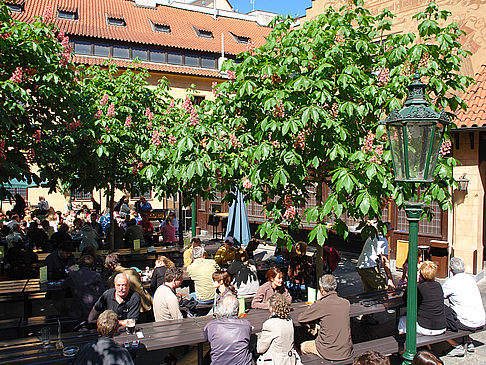 Unterhaltung / Nightlife Fotos